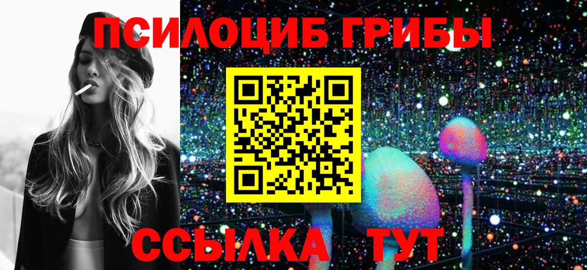 Псилоцибиновые грибы прущие грибы Владимир