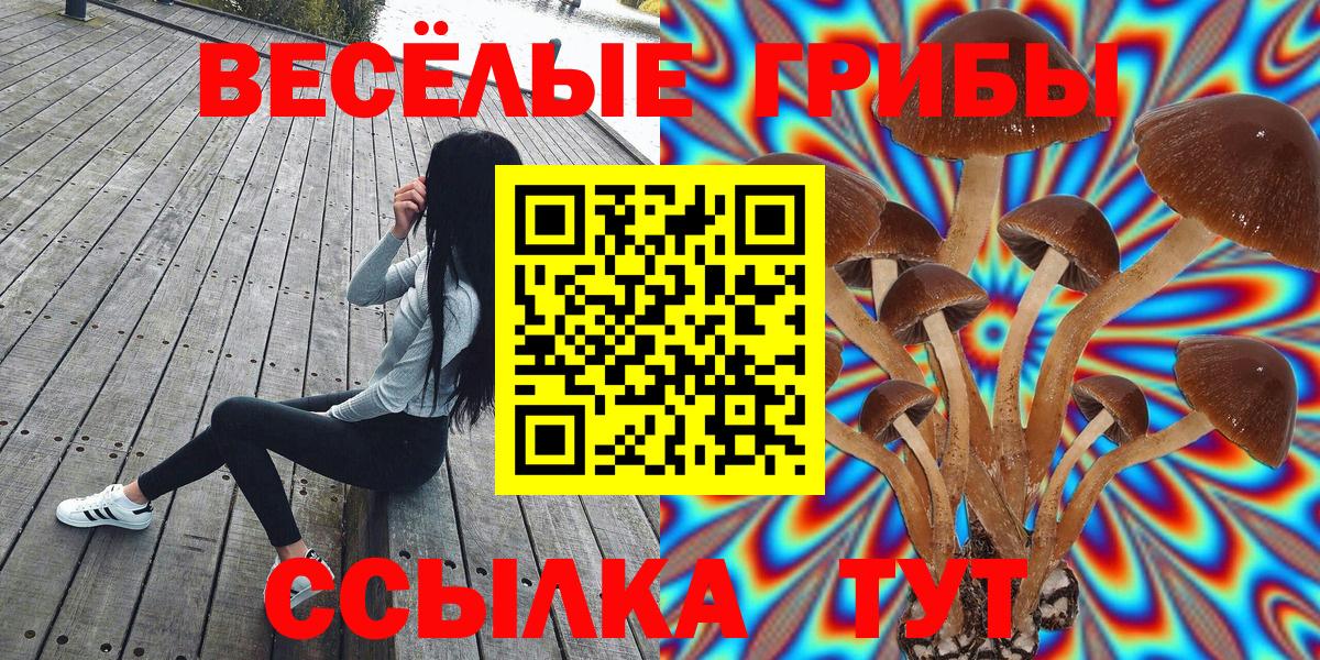 Псилоцибиновые грибы Cubensis  Вход с VPN  Псилоцибиновые грибы Psilocybe  Владимир 