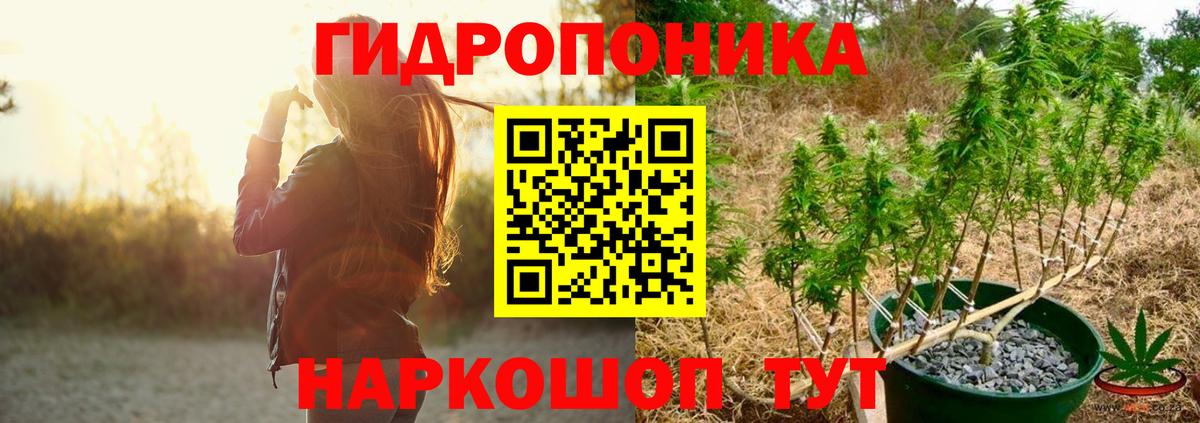 Бошки марихуана MAZAR Владимир